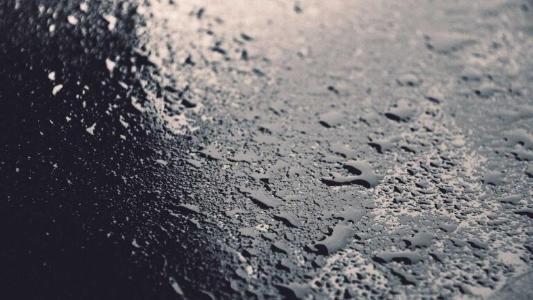 How To Reset Cricbet99 Withdrawal Password Easily?