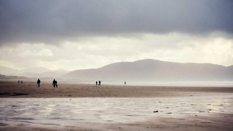 How Does 11Xplay Earning App Help Make Money Online?